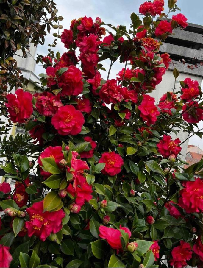 Giresio 41 - Your Penthouse With Rooftop Garden In Milano Navigli - Wifi Buitenkant foto